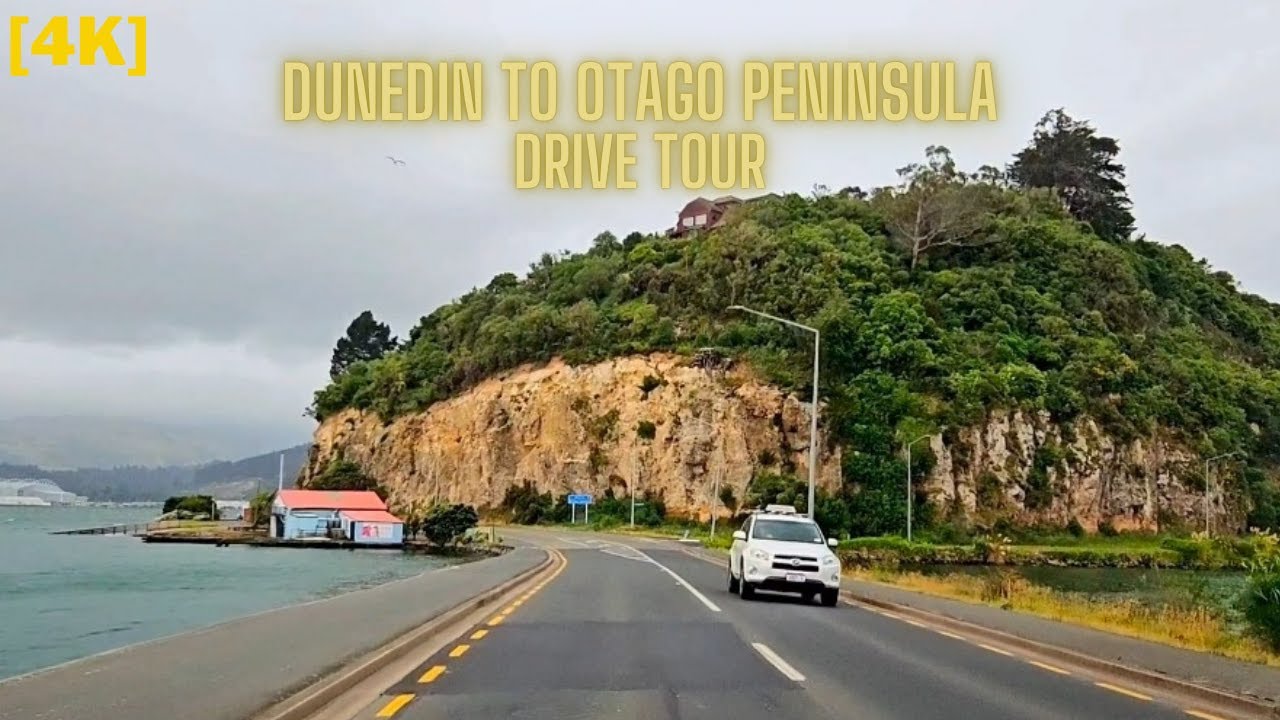 Dunedin to Otago Peninsula 🚗 | Short Drive Tour to the Coastal Entrance