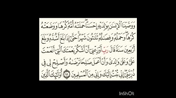 سورة الاحقاف #سورةالفاتحة #اكسبلور #الرحمن #سورةالكوثر #دويتو #الورقات #لايك #المصحف #سورةالاخلاص