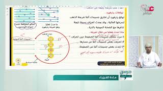 النماذج الأولى للذرة طومسون + رذرفورد || الأطياف الذريه و النموذج الذري الحديث #الثاني_عشر .