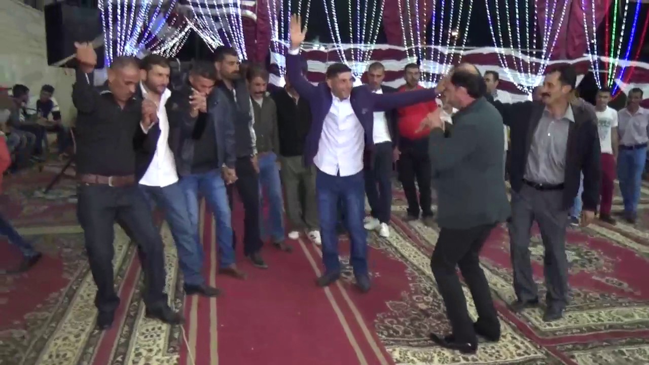 افراح آل القادري 2017 جزء الاول