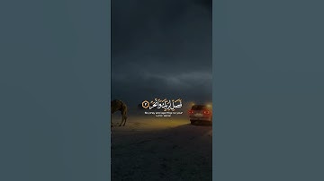 سورة الكوثر بصوت عبد الرحمن مسعد #عبدالرحمن_مسعد #سورة_الكوثر#قرآن#قران_كريم#تلاوة_خاشعة#قصار_السور