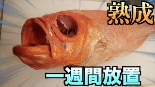 金目鯛を一週間放置して腐らせて食ったらヤバかった。。。