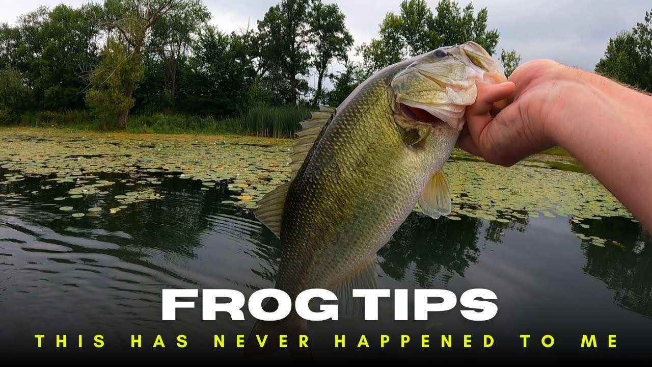 This Has Never Happened To Me While Frog Fishing!!! And Some Frog Tips!