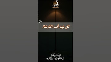 تلاوة ماتيسر من سورة الحديد بصوت لفضيلة الشيخ العلامة أبي عبدالرحمن يحيى بن علي الحجوري حفظه الله
