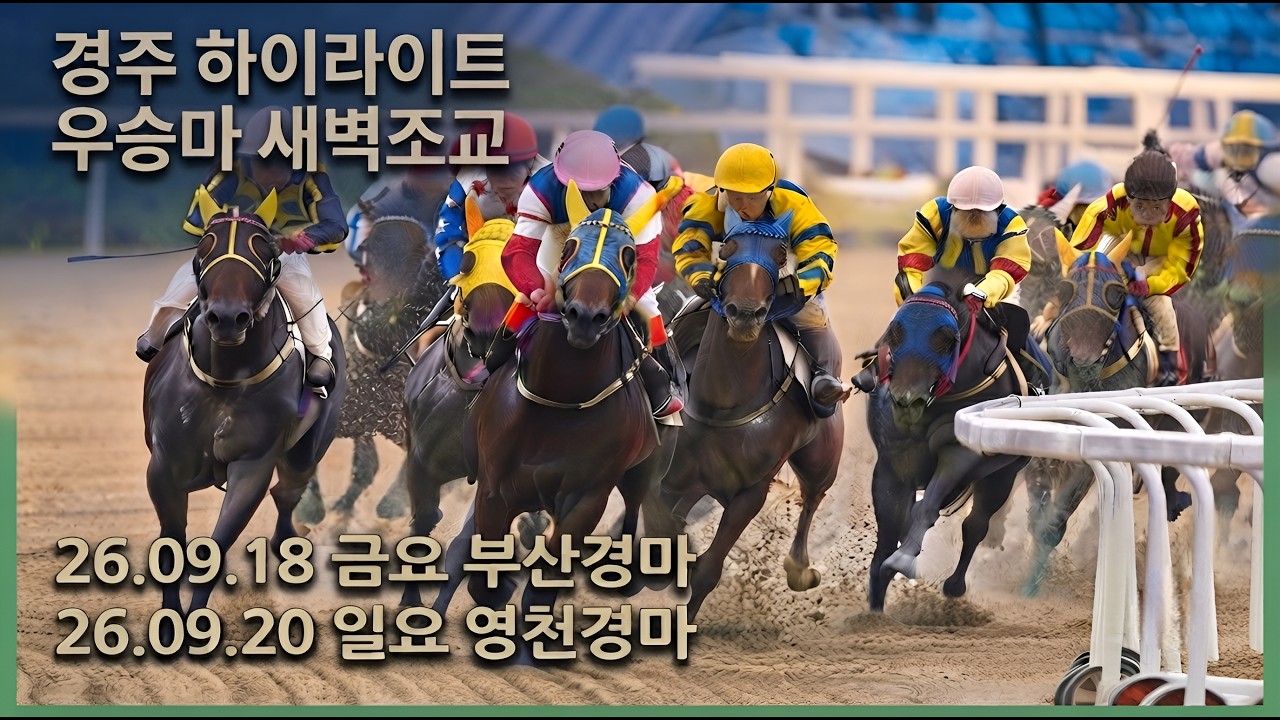 💣[부산/영천경마] 우승마 새벽조교, 경주 하이라이트 2026년 9월 18일 / 20일