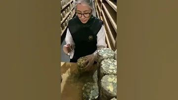 Откуда в сыре с голубой плесенью эта самая плесень?