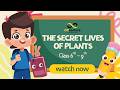 The Secret Lives of Plants: Photosynthesis & Rule Breakers | Class 6th - 9th | OffLecture