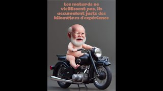 Chocolatine Ou Couque Au Chocolat ?
