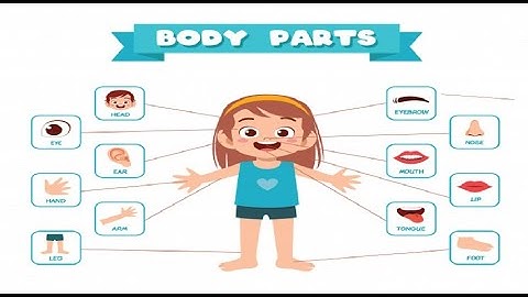 7 - كونكت بلس ثانية ابتدائى ترم اول  Connect Plus G 2 Unit 2 Lets get fit Lesson1