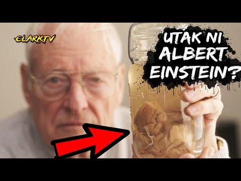 Video: Mayroon bang pelikula tungkol kay Albert Einstein?