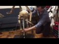 Juggling skeleton test