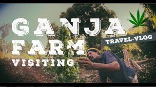 ROASTED AND BAKED | JAMAICA TRAVEL VLOG | GANJA FARM VISITING | ROOTS RASTA DREADLOCKS