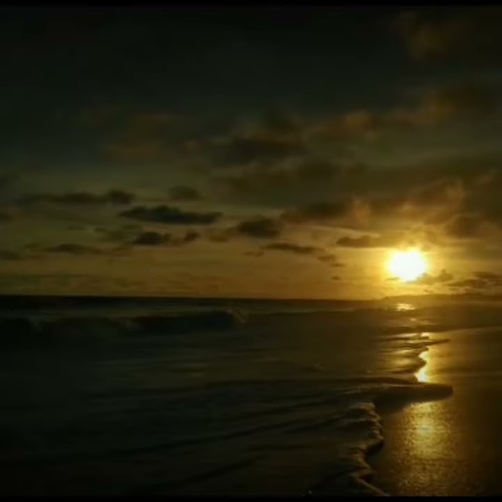 STORY WA 'SUNSET' 30 detik!!!