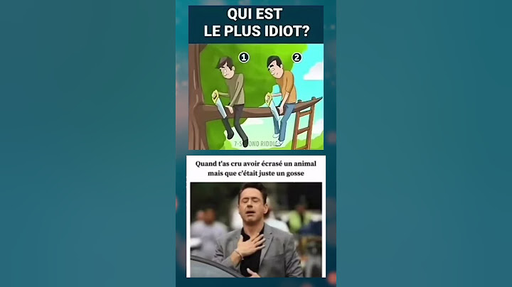 Qui est le plus idiot ? #memes #memesdaily #funny #mdr  #snapdrole #ptdr