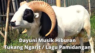 Musik Hiburan Tukang Ngarit | Dayuni Original Musik