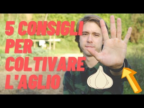 Video: Come Coltivare L'aglio Rocumball