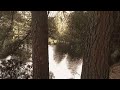 No quieres conocer este lago #cuento #leyendas #terrorymisterio #paranormal #terrorrural