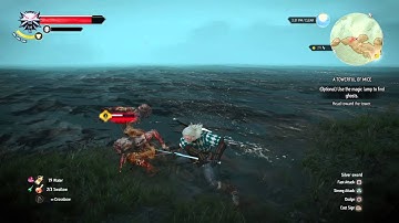 The Witcher 3: Wild Hunt Terrifying Rotfiend Glitch