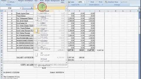 Excel 2007 Tutorial in Urdu, Cali.pk , Lesson-14