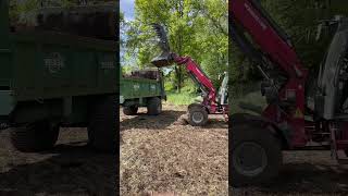 Weidemann Frontlader belädt Tebbe Miststreuer mit feinster Ware #traktor #landwirtschaft