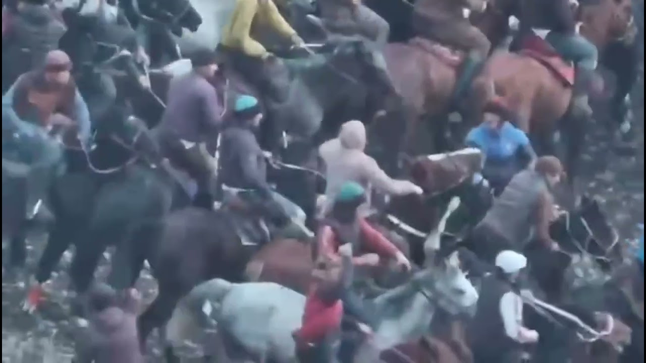 Бузкаши берахмаш рахимберди 🤣🤣