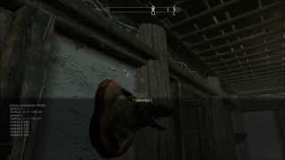 How To Add Skyrim Clutter, Furniture, and Objects