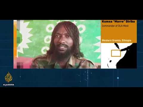 Turtii Jaal Marroo Fi AlJazeera