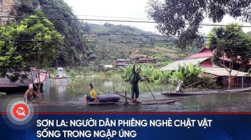 Sơn La: Người dân Phiêng Nghè chật vật sống trong ngập úng | Truyền hình Quốc hội Việt Nam