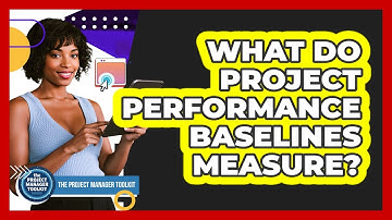 What Do Project Performance Baselines Measure?