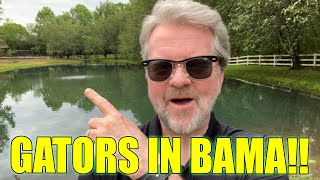 Are There ALLIGATORS in NORTH ALABAMA? Tim Knox, Realtor, Huntsville, Madison, Athens, Decatur AL: Wealth