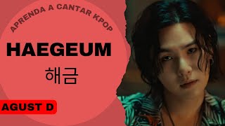 Aprenda a cantar AGUST D - HAEGEUM (해금) (letra simplificada) Resimi