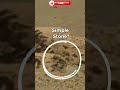 Mars Rover Surface Anomalies | Curiosity - Sol 1030 - part 1