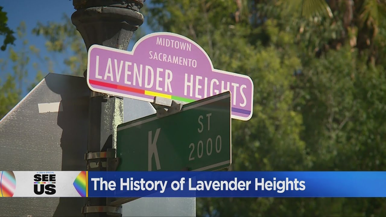 The History Of Lavender Heights YouTube
