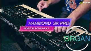 HAMMOND SK PRO VS NORD ELECTRO 6 ORGAN