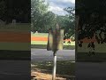 Police investigating Piedmont Park after gun shots rang out