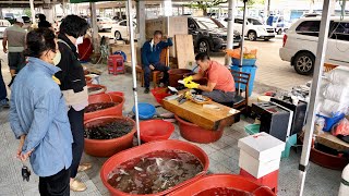 The sashimi master cuts it in an instant! Sashimi cutting Best 3 / korean food