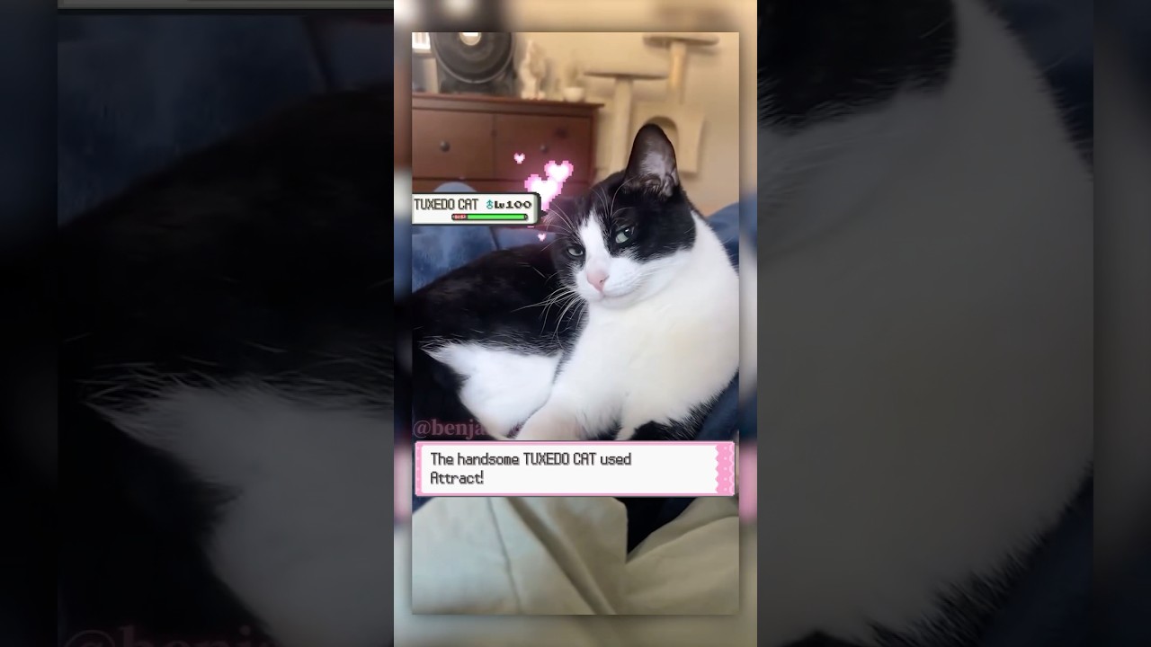 Made by benjaminscabin on insta ❤️❤️❤️ 