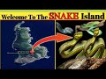 Welcome to the snake island, Brazil. दुनिया के सबसे जहरीले सांपो का द्वीप- queimada grande 🐍🐍🐉🐉