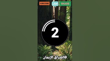 ما هي السورة التي تنتهي آياتها بحرف السين؟
