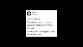 Council Meeting