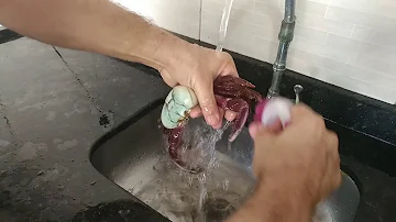 Como conservar o caranguejo?