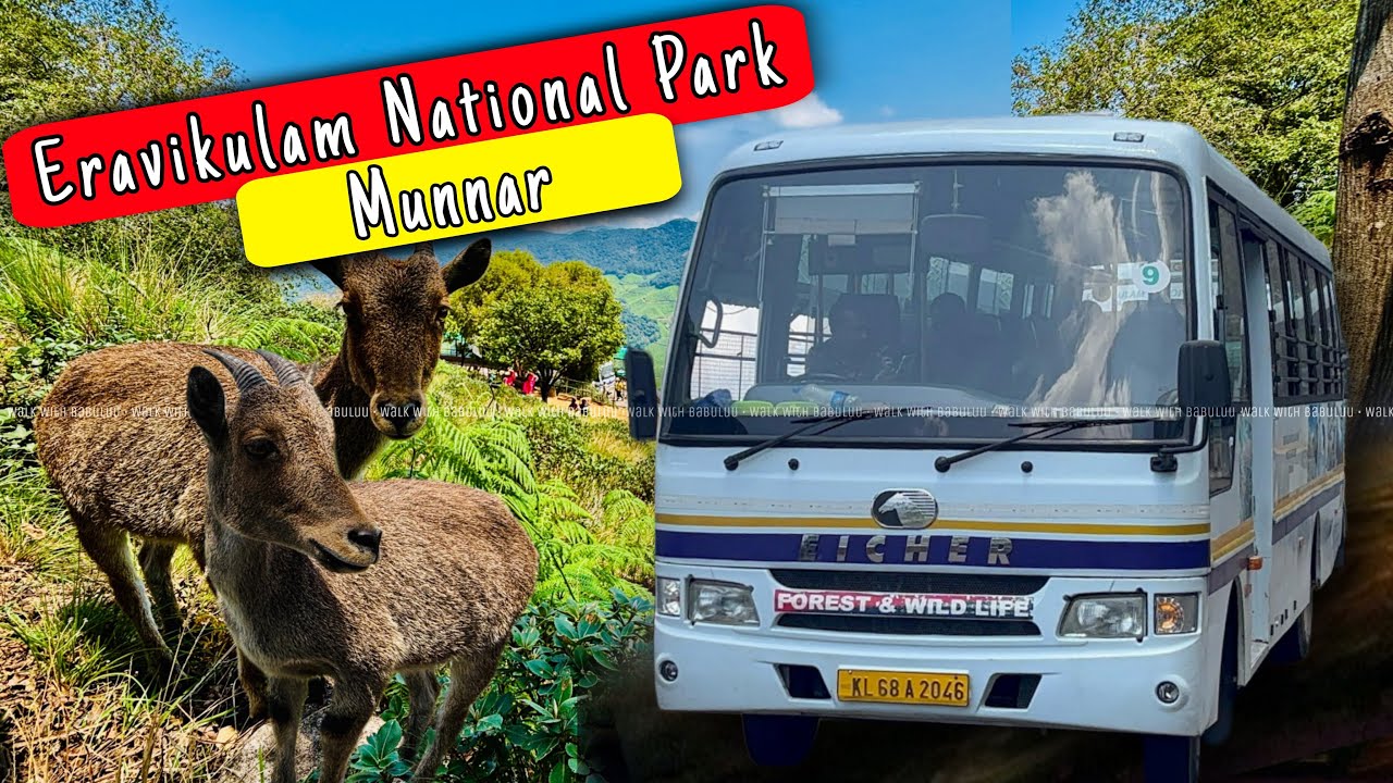 Rajamalai Eravikulam National Park in Munnar - Top Tourist Destination in Munnar