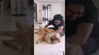 Amaal Mallik and Handsome Mallik ❤️🦁 #throwback #amaalmallik #amaalians #shorts