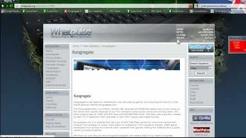 The Secrets of WhatPulse