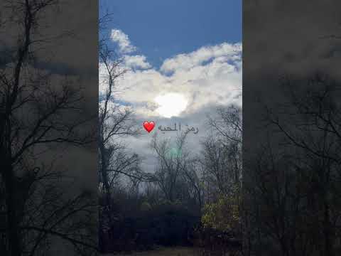 شكول عليك اكول انساك