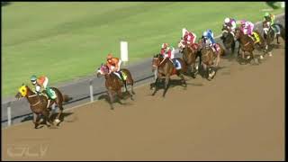 Vidéo de la course PMU PRIX WWW.TRACKANDBALL.CO.ZA MR 72 HANDICAP