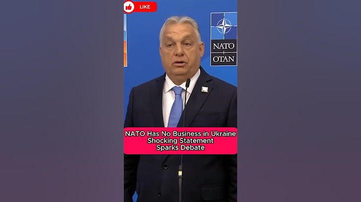 NATO Has No Business in Ukraine" — Shocking Statement Sparks Debate