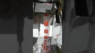AUTOMATIC LIQUID PACKING MACHINE (Center and 3,4,Sides sealing