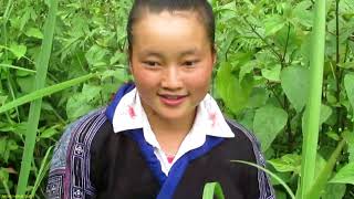 Saib Hluas Nkauj Hmoob Nyab Laj Mus Hlais Zaub Nyuj 2018