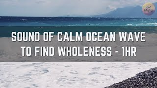 Sound of Calm Ocean Waves for Sleeping | Studying | Meditating | Relaxing | Finding Wholeness - 1HR